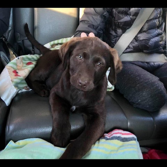 Meet your Posher, Marc - Picture 1 of 1